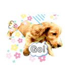 仔犬のカールと仔犬のノア（個別スタンプ：12）