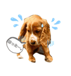 仔犬のカールと仔犬のノア（個別スタンプ：14）