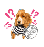 仔犬のカールと仔犬のノア（個別スタンプ：16）