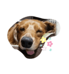 豊かなれおくんの表情（個別スタンプ：5）