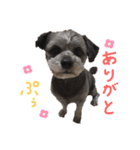 ぷぅ♡（個別スタンプ：3）