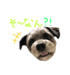 ぷぅ♡（個別スタンプ：7）