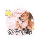 ふうちゃんスタンプ.（個別スタンプ：4）