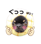 とらくまブラザーズ（個別スタンプ：6）
