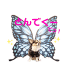 とらくまブラザーズ（個別スタンプ：9）