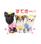 とらくまブラザーズ（個別スタンプ：12）