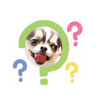とらくまブラザーズ（個別スタンプ：13）