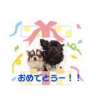 とらくまブラザーズ（個別スタンプ：14）