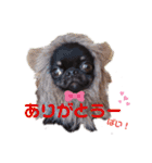 とらくまブラザーズ（個別スタンプ：16）