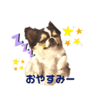 とらくまブラザーズ（個別スタンプ：19）