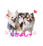 とらくまブラザーズ（個別スタンプ：21）
