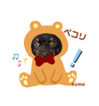 とらくまブラザーズ（個別スタンプ：24）