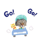匠のネコ（個別スタンプ：25）
