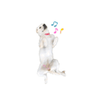 ふんばり犬サン様（個別スタンプ：13）