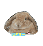 ぴっかの日常スタンプ（個別スタンプ：2）