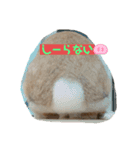 ぴっかの日常スタンプ（個別スタンプ：6）