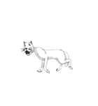 ハイスピードで動く白い犬（個別スタンプ：20）