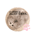 のあちゃん すたんぷ（個別スタンプ：2）