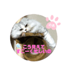 のあちゃん すたんぷ（個別スタンプ：3）