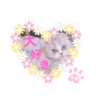 のあちゃん すたんぷ（個別スタンプ：7）