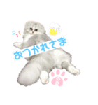 のあちゃん すたんぷ（個別スタンプ：8）