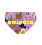 お花の写真日常挨拶スタンプ（個別スタンプ：39）