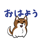 プチ犬（個別スタンプ：1）