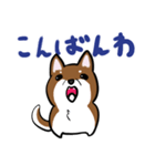 プチ犬（個別スタンプ：3）