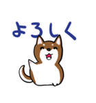 プチ犬（個別スタンプ：4）