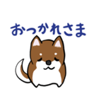 プチ犬（個別スタンプ：5）