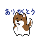 プチ犬（個別スタンプ：6）