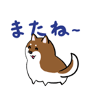 プチ犬（個別スタンプ：7）