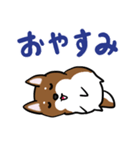 プチ犬（個別スタンプ：8）