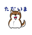 プチ犬（個別スタンプ：10）