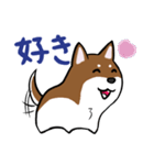 プチ犬（個別スタンプ：13）