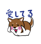 プチ犬（個別スタンプ：14）