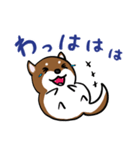 プチ犬（個別スタンプ：15）