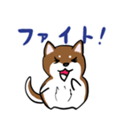 プチ犬（個別スタンプ：17）