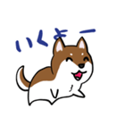 プチ犬（個別スタンプ：19）