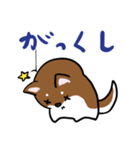 プチ犬（個別スタンプ：20）