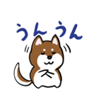 プチ犬（個別スタンプ：25）