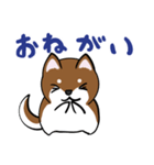 プチ犬（個別スタンプ：26）