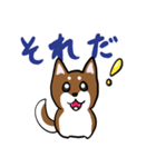 プチ犬（個別スタンプ：27）