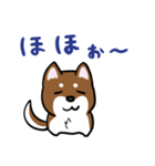 プチ犬（個別スタンプ：29）