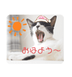 ほんわかうりちゃん（個別スタンプ：1）