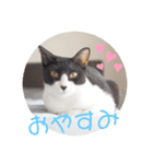 ほんわかうりちゃん（個別スタンプ：3）