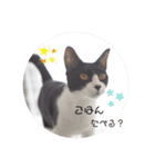 ほんわかうりちゃん（個別スタンプ：5）