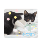 ほんわかうりちゃん（個別スタンプ：6）