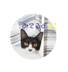 ほんわかうりちゃん（個別スタンプ：11）