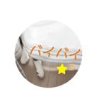 ほんわかうりちゃん（個別スタンプ：15）